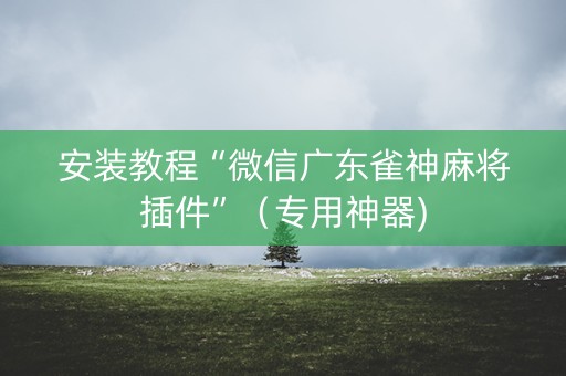 安装教程“微信广东雀神麻将插件”（专用神器)