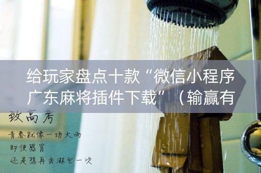 给玩家盘点十款“微信小程序广东麻将插件下载”（输赢有什么规律)