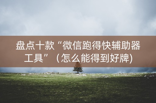 盘点十款“微信跑得快辅助器工具”（怎么能得到好牌)