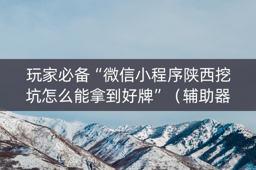 玩家必备“微信小程序陕西挖坑怎么能拿到好牌”（辅助器通用版)