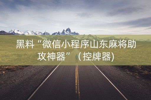 黑料“微信小程序山东麻将助攻神器”（控牌器)