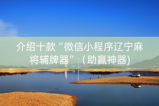 介绍十款“微信小程序辽宁麻将辅牌器”（助赢神器)