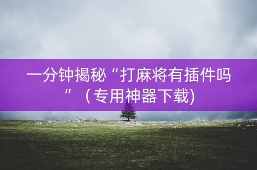 一分钟揭秘“打麻将有插件吗”（专用神器下载)