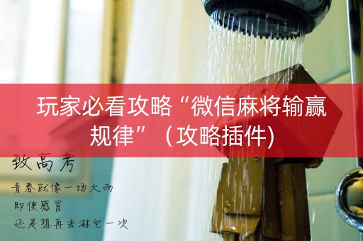 玩家必看攻略“微信麻将输赢规律”（攻略插件)