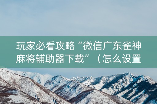 玩家必看攻略“微信广东雀神麻将辅助器下载”（怎么设置能有好牌)