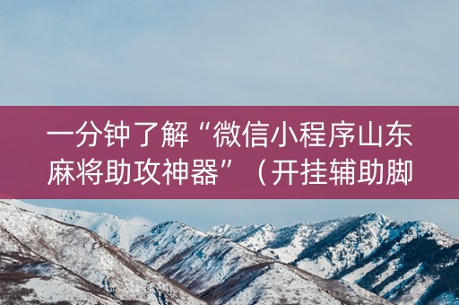 一分钟了解“微信小程序山东麻将助攻神器”（开挂辅助脚本)