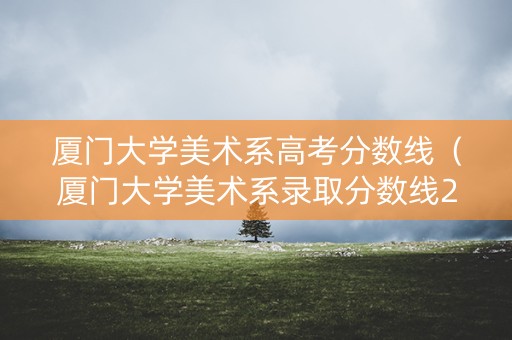 厦门大学美术系高考分数线（厦门大学美术系录取分数线2021）