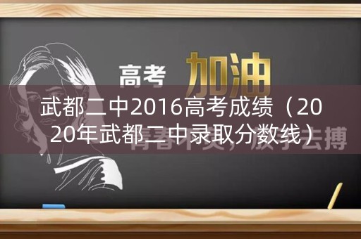 武都二中2016高考成绩（2020年武都二中录取分数线）