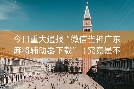 今日重大通报“微信雀神广东麻将辅助器下载”（究竟是不是有挂)