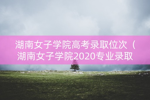 湖南女子学院高考录取位次（湖南女子学院2020专业录取线）