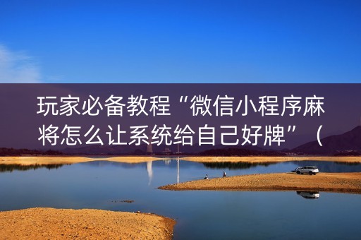 玩家必备教程“微信小程序麻将怎么让系统给自己好牌”（开挂辅助器脚本)