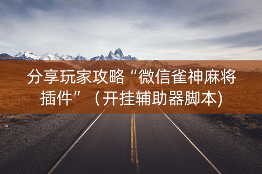 分享玩家攻略“微信雀神麻将插件”（开挂辅助器脚本)