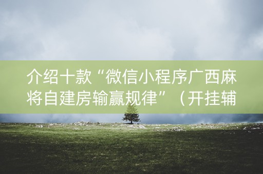 介绍十款“微信小程序广西麻将自建房输赢规律”（开挂辅助器插件)