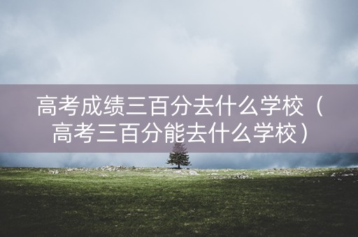 高考成绩三百分去什么学校（高考三百分能去什么学校）