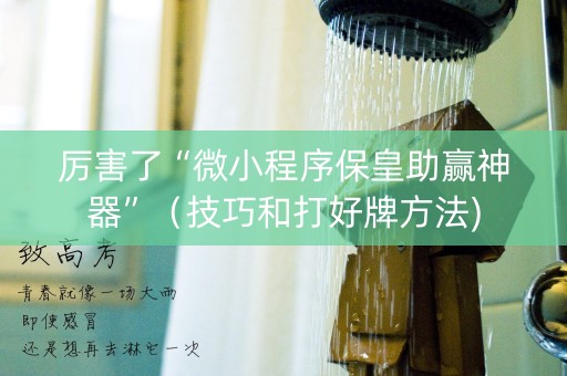 厉害了“微小程序保皇助赢神器”（技巧和打好牌方法)