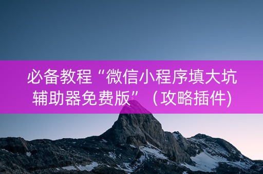 必备教程“微信小程序填大坑辅助器免费版”（攻略插件)