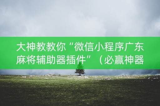 大神教教你“微信小程序广东麻将辅助器插件”（必赢神器)