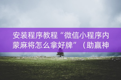 安装程序教程“微信小程序内蒙麻将怎么拿好牌”（助赢神器购买)