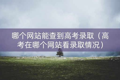哪个网站能查到高考录取（高考在哪个网站看录取情况）