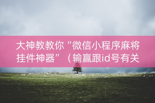 大神教教你“微信小程序麻将挂件神器”（输赢跟id号有关系吗)