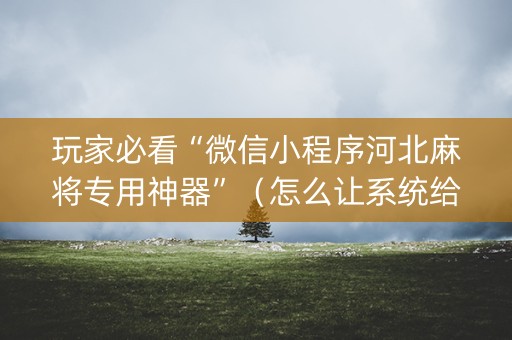 玩家必看“微信小程序河北麻将专用神器”（怎么让系统给自己好牌)