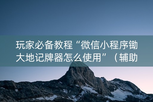 玩家必备教程“微信小程序锄大地记牌器怎么使用”（辅助器通用版)