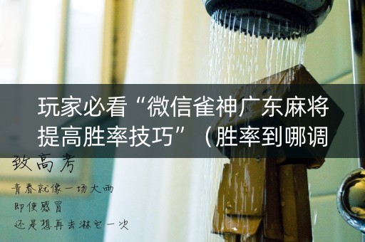 玩家必看“微信雀神广东麻将提高胜率技巧”（胜率到哪调)