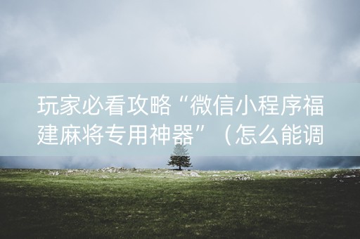 玩家必看攻略“微信小程序福建麻将专用神器”（怎么能调好牌)