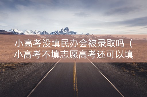 小高考没填民办会被录取吗（小高考不填志愿高考还可以填吗）