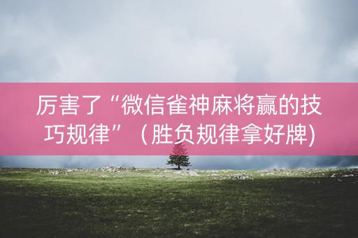 厉害了“微信雀神麻将赢的技巧规律”（胜负规律拿好牌)