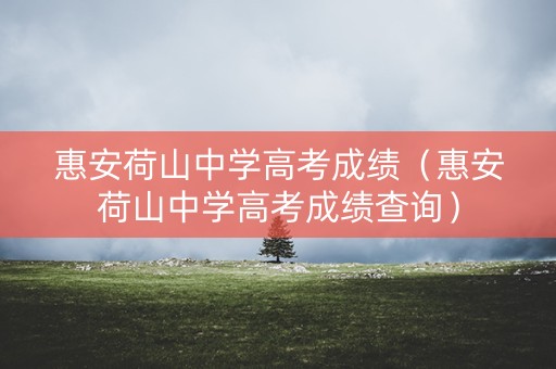 惠安荷山中学高考成绩（惠安荷山中学高考成绩查询）