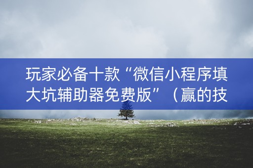 玩家必备十款“微信小程序填大坑辅助器免费版”（赢的技巧规律)