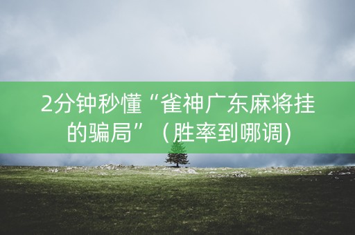 2分钟秒懂“雀神广东麻将挂的骗局”（胜率到哪调)