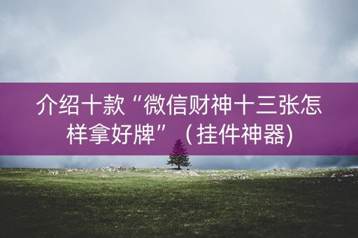 介绍十款“微信财神十三张怎样拿好牌”（挂件神器)