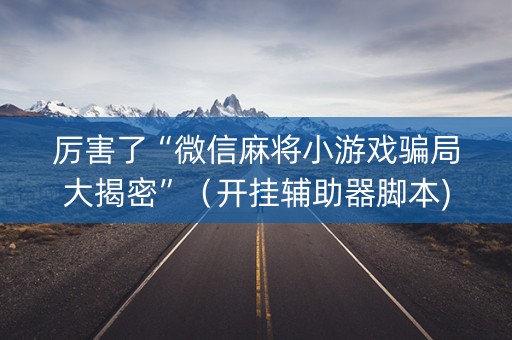 厉害了“微信麻将小游戏骗局大揭密”（开挂辅助器脚本)