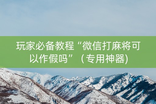 玩家必备教程“微信打麻将可以作假吗”（专用神器)