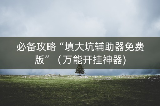 必备攻略“填大坑辅助器免费版”（万能开挂神器)