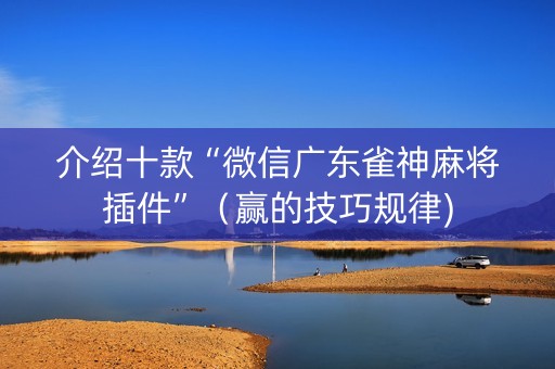 介绍十款“微信广东雀神麻将插件”（赢的技巧规律)