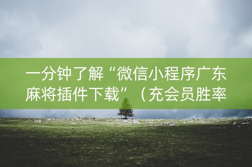 一分钟了解“微信小程序广东麻将插件下载”（充会员胜率高)