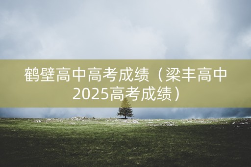 鹤壁高中高考成绩（梁丰高中2025高考成绩）