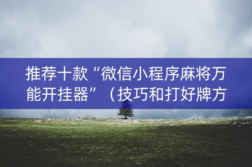 推荐十款“微信小程序麻将万能开挂器”（技巧和打好牌方法)