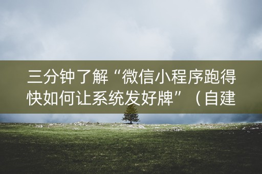 三分钟了解“微信小程序跑得快如何让系统发好牌”（自建房怎么赢)