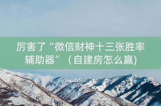 厉害了“微信财神十三张胜率辅助器”（自建房怎么赢)