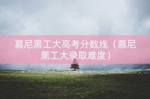 慕尼黑工大高考分数线（慕尼黑工大录取难度）