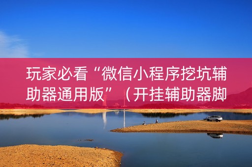 玩家必看“微信小程序挖坑辅助器通用版”（开挂辅助器脚本)