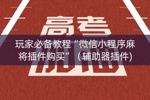 玩家必备教程“微信小程序麻将插件购买”（辅助器插件)
