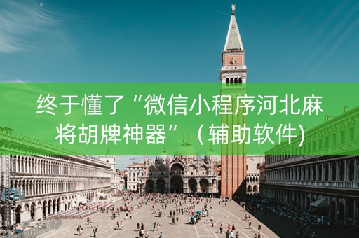 终于懂了“微信小程序河北麻将胡牌神器”（辅助软件)