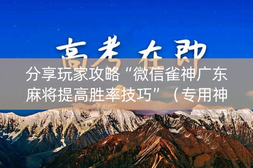 分享玩家攻略“微信雀神广东麻将提高胜率技巧”（专用神器)