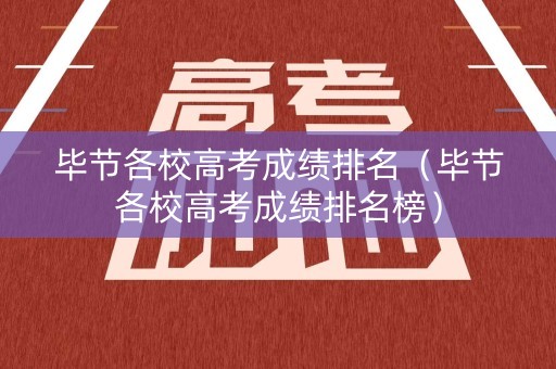 毕节各校高考成绩排名（毕节各校高考成绩排名榜）