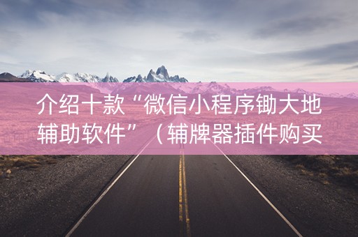 介绍十款“微信小程序锄大地辅助软件”（辅牌器插件购买)